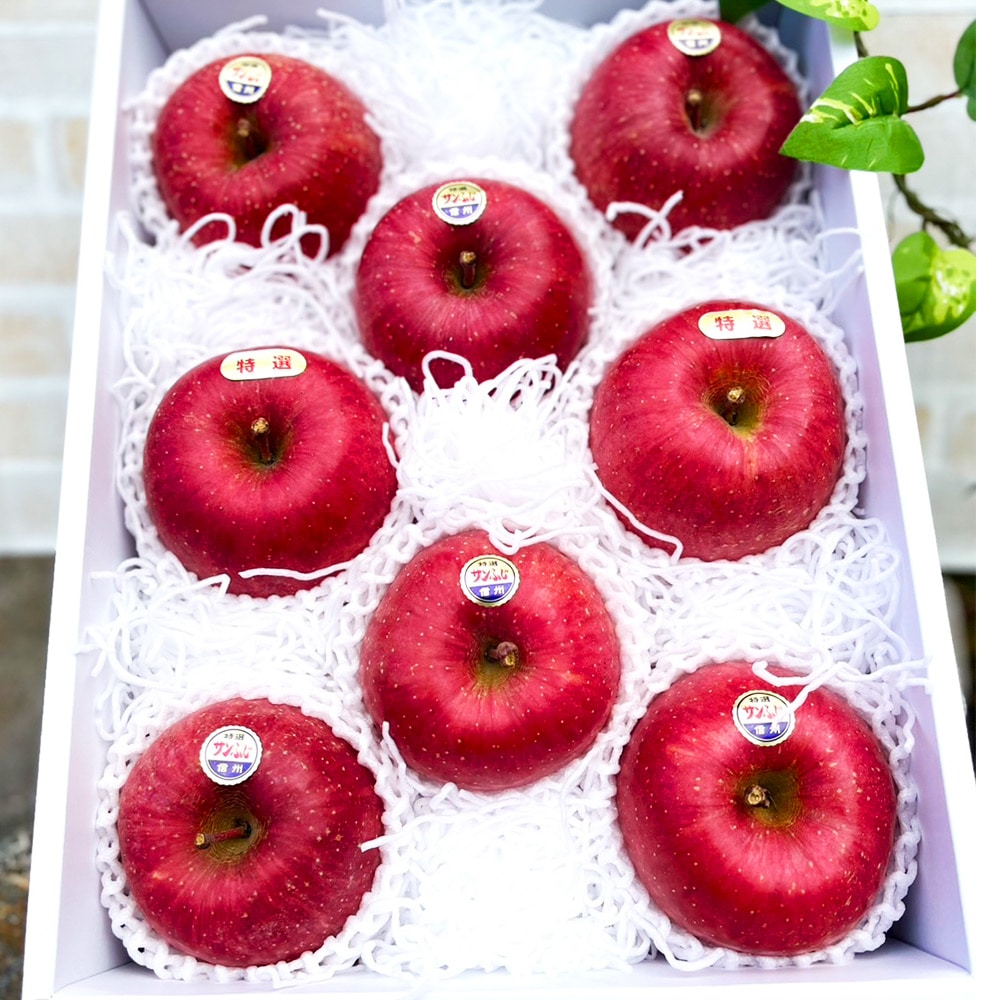 ��2025ǯ���λ��ޤ�����ͽ�����䳫�ϡ��� 2025ǯ ���λ��ޤ�󤴡ۥ���դ�3kg 8��9�̡�11����ܰʹ߽缡�в�ͽ���̪ ���� Ĺ�� �������� �ʲ��츩��Υ���ϰ������Բġ�