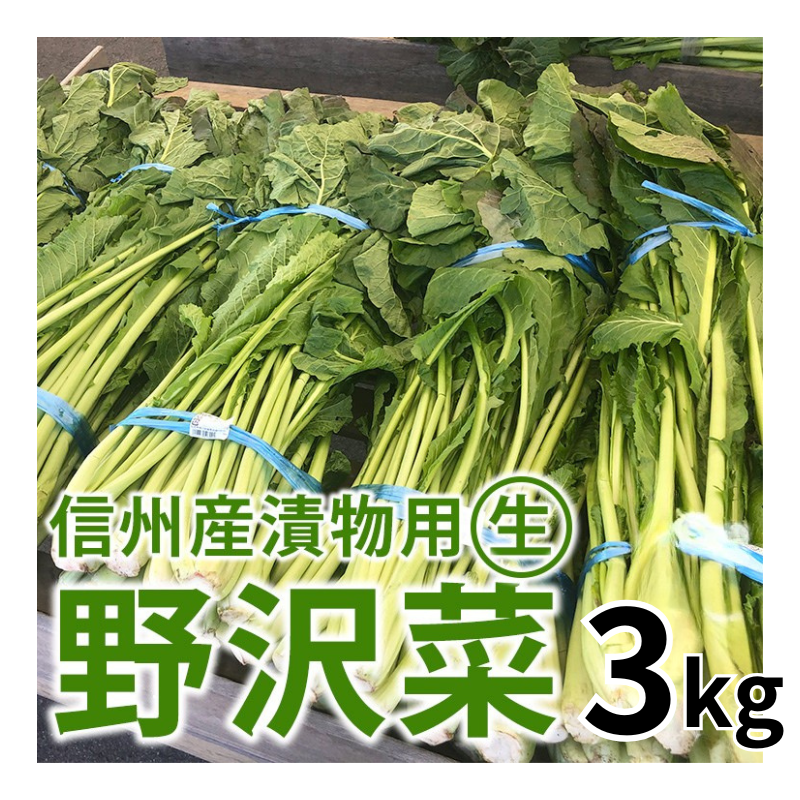 ͽ䳫ϡ  ʪѡڡ3kg 11ܰʹ߽вͽʪ  Ĺ ڿ ߡʲ츩ΥϰԲġ