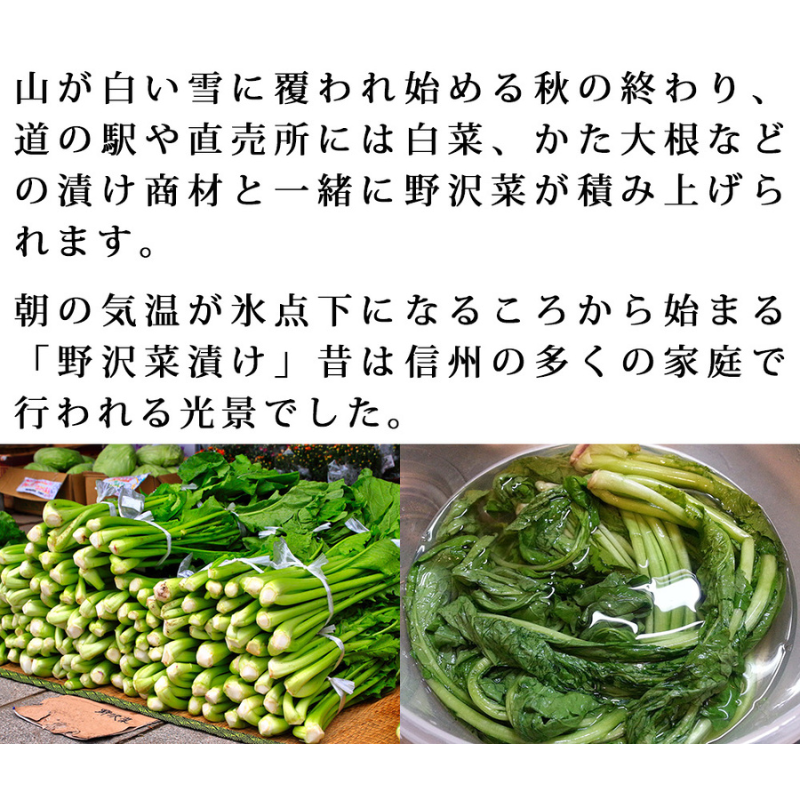 ͽ䳫ϡ  ʪѡڡ5kg 11ܰʹ߽вͽʪ  Ĺ ڿ ߡʲ츩ΥϰԲġ