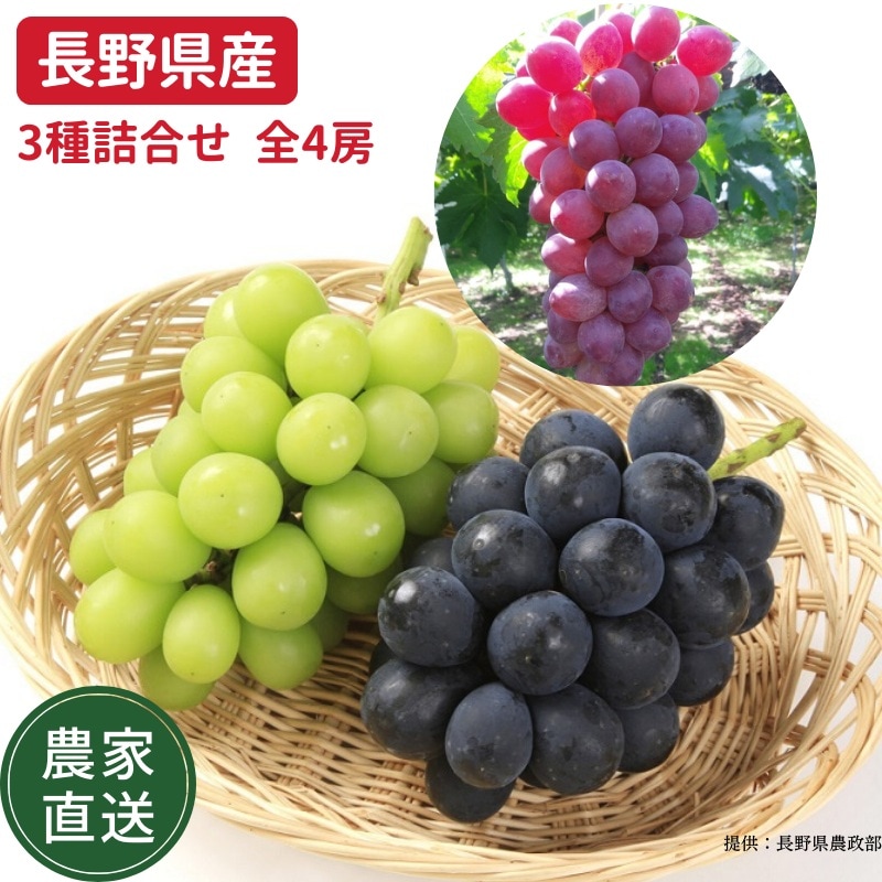 ��ͽ�����䳫�ϡ�������ľ���֤ۤɤ�3�� 4˼���å� ���㥤��ޥ����å�2˼ �ʥ��Υѡ��ץ�1˼ ���ˡ��롼����1˼ ��4˼ 1.8〜2.0kg �������� �ʲ��츩��Υ���ϰ������Բġ� ��9��ܺ��в�ͽ��� �֤ɤ� Ĺ�� ���� ��ʪ �ե롼�� ��ƺ ��̵�� �餴��