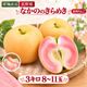 ������������󤴡֤ʤ��ΤΤ���᤭�ס�3kg��8〜11�̡˿��̸��� ������ ��10��ܽ缡�в�ͽ��۴����ʼ� (���������Բġ�