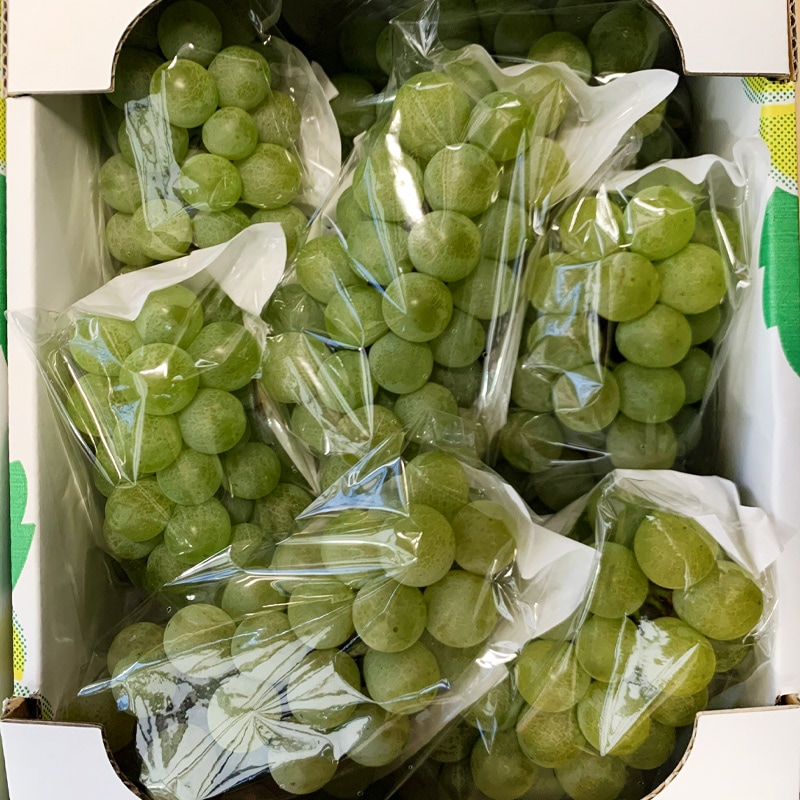 ���⤦������λ��������ľ���ۥʥ�������  6��7˼ 1.6��1.8kg �������� �ʲ��츩��Υ���ϰ������Բġˡ�9����ܰʹ߽в�ͽ��� �֤ɤ� ��ƺ ��֤ɤ� Ĺ�� ���� ��ʪ �ե롼��