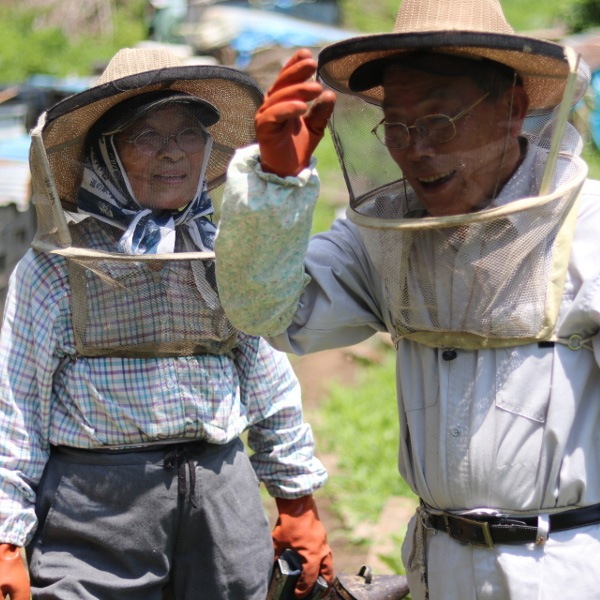 ハニープラント信州産 アカシア はちみつ Lサイズ 300g 蜂蜜 ハチミツ 国産 純粋 純正 アカシアはちみつ 非加熱 無添加 新蜜 ギフト 送料無料(沖縄・離島別途240円) NAGANOマルシェ|長野県・信州の食品・郷土食やお土産を 名産品、特産品、ギフトの直販 ハニープラント信州産 アカシア はちみつ Lサイズ 300g 蜂蜜 ハチミツ 国産 純粋 純正 アカシアはちみつ 非加熱 無添加 新蜜 ギフト 送料無料(沖縄・離島別途240円) NAGANOマルシェ|長野県・信州の食品・郷土食やお土産を 名産品、特産品、ギフトの直販
