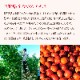 ʤĤᥨ(260g) (졦Υ870)