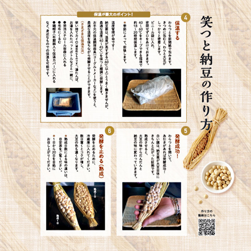 ФĤǼƦå Ʀ 2 ꥭå  ǼƦ  ñ ͳ  Ĺ Ʀ ǼƦ Ĺ  դ  (870ߡ