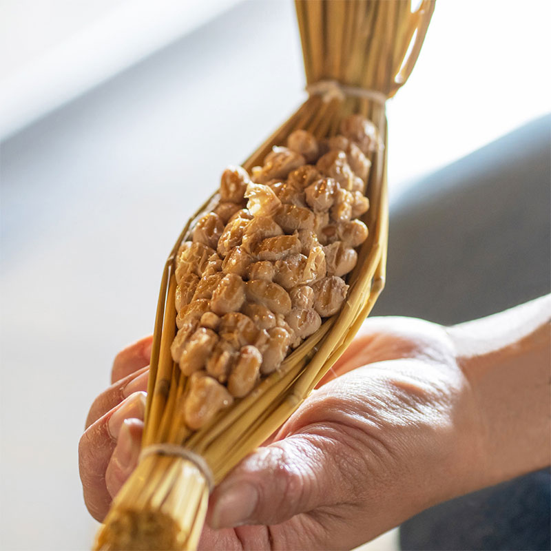 ФĤǼƦå Ʀ 2 ꥭå  ǼƦ  ñ ͳ  Ĺ Ʀ ǼƦ Ĺ  դ  (870ߡ