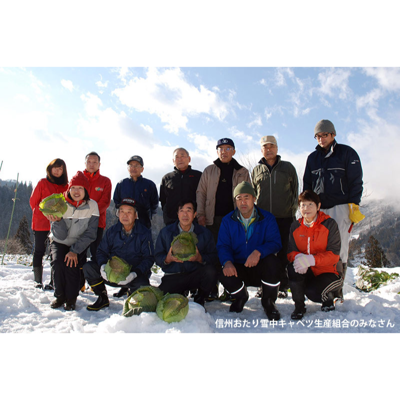 �ڣ������ޤǤδ��ָ���ۿ�����ë¼�� ���業��٥ġ���2kg ��1����ܰʹ� �缡�в�ͽ����������ߡʲ��졦Υ�������Բġ�