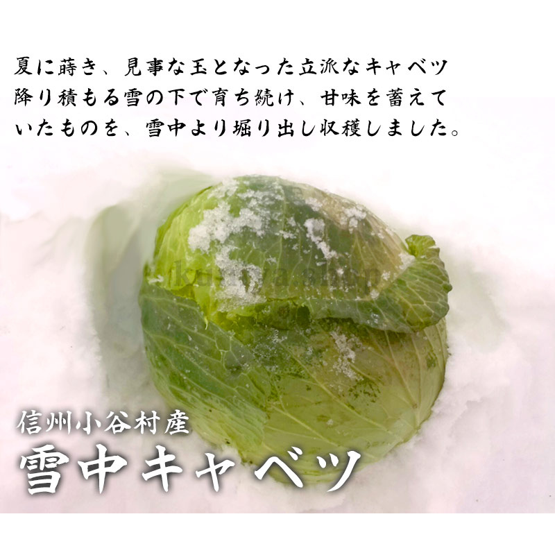 �ڣ������ޤǤδ��ָ���ۿ�����ë¼�� ���業��٥ġ���2kg ��1����ܰʹ� �缡�в�ͽ����������ߡʲ��졦Υ�������Բġ�