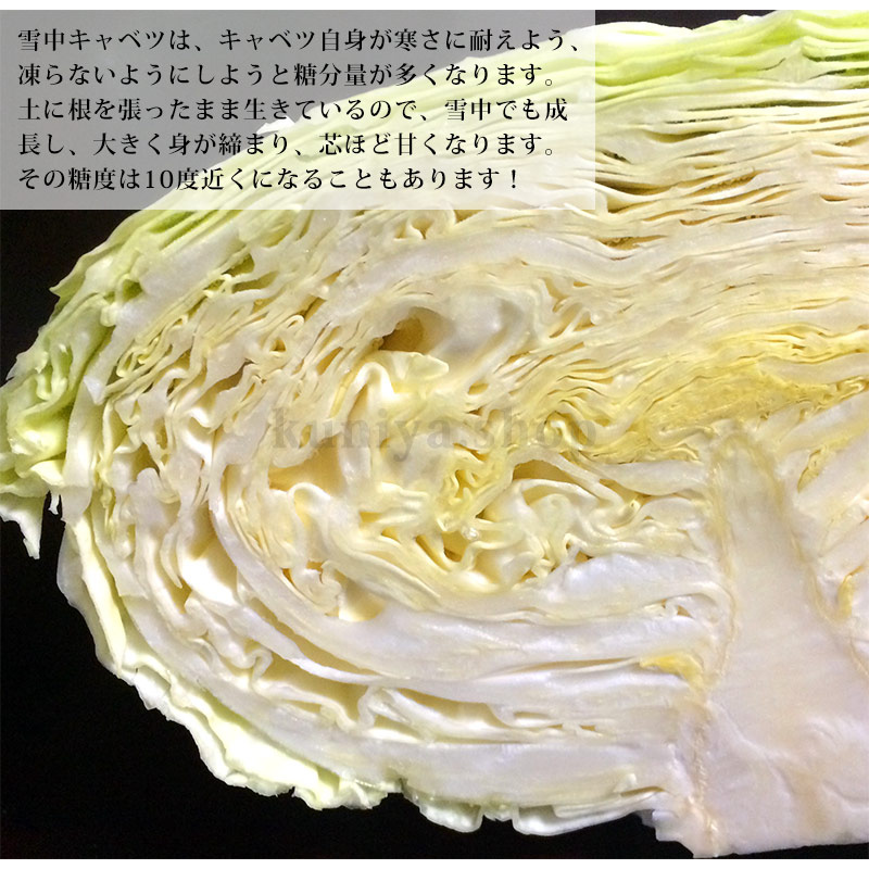 �ڣ������ޤǤδ��ָ���ۿ�����ë¼�� ���業��٥ġ���2kg ��1����ܰʹ� �缡�в�ͽ����������ߡʲ��졦Υ�������Բġ�