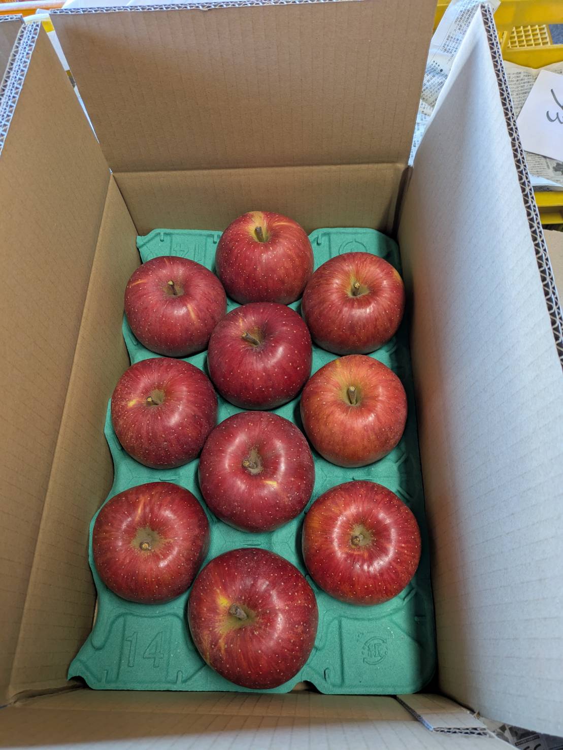 ����̡ۡ�����30�󸺡ۡ�£���ѡ�Ĺ���̪���ꥵ��դ�3.5kg��9��〜10�̡� ������ ���� ���ե� ����� ��ǯ��ʲ��츩��Υ���ϰ������Բġ�