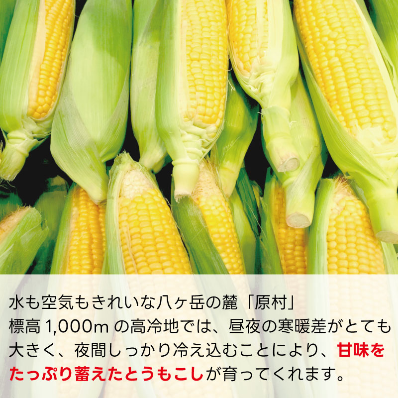 �ں���ʬ��λ���ޤ����ۤȤ���������ڥ�����ɥ�å����12�ܥ��å�  (���츩��Υ���ϰ������Բ�) �Ť� �� ����̵�� Ĺ��� ����  �ȥ��������  ���ե� ���� ����ľ�� Ĺ���¼ ��¼ £��ʪ