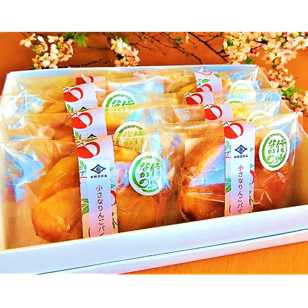 ڴƲŹ۾ʤ󤴥ѥ 10ĥå ե ץ쥼 ڻ (졦Υ870)