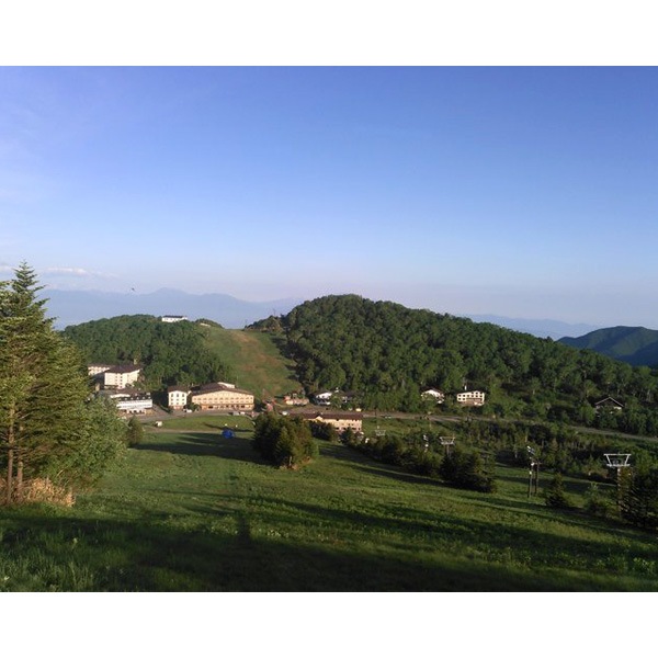 ڤʤβۻֲ⸶֤Τ졼5ĥå ʲ졦Υ870ߡ