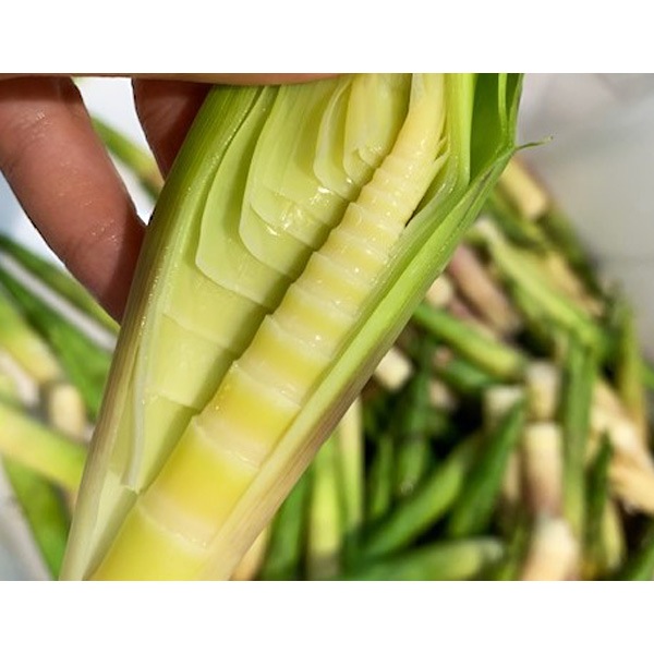 ڤʤβۻֲ⸶֤Τ졼5ĥå ʲ졦Υ870ߡ