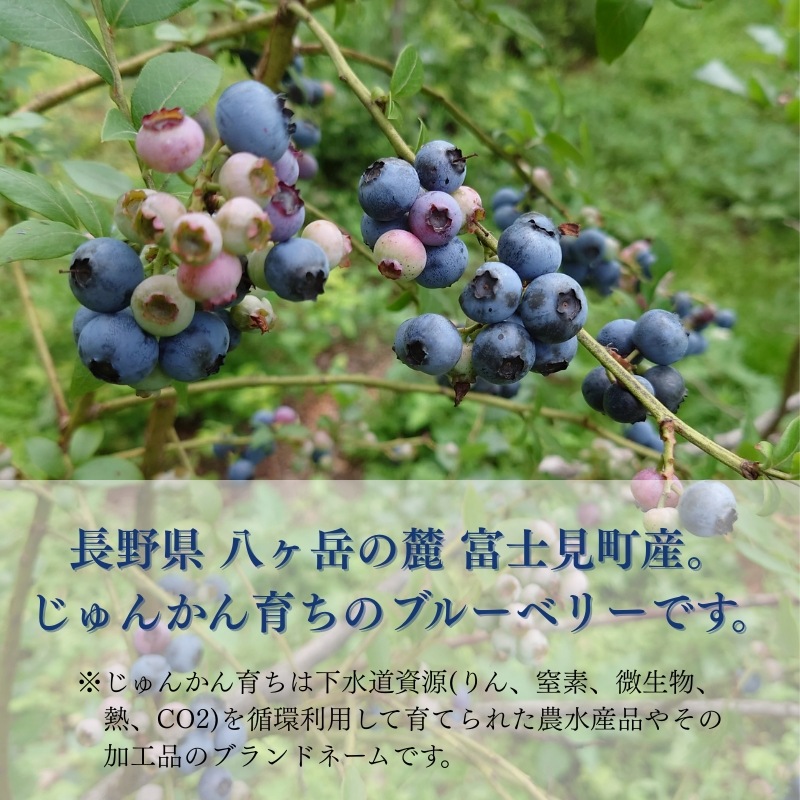 �ڽвٳ��ϡ����̸���ۥ֥롼�٥꡼����餻����Ρ� 500g��2�ޡ�1kg�� ��7��ʹ�ȯ��ͽ���Ĺ� Ȭ���٤�ϼ �ٻθ�Į���� �������ʲ�������1,090�ߡ�