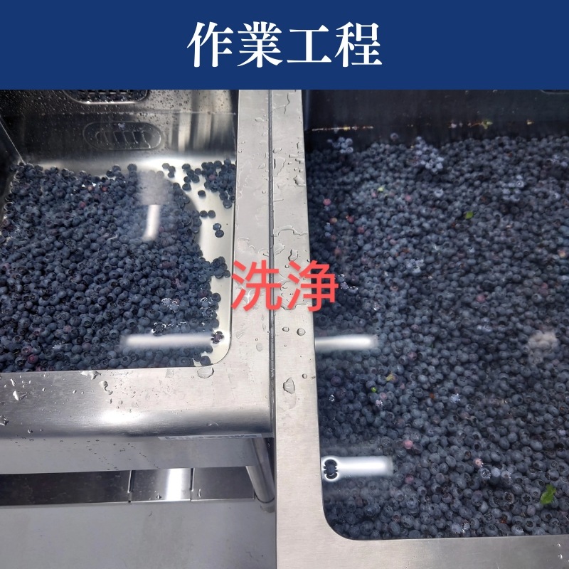 �ڽвٳ��ϡ����̸���ۥ֥롼�٥꡼����餻����Ρ� 500g��2�ޡ�1kg�� ��7��ʹ�ȯ��ͽ���Ĺ� Ȭ���٤�ϼ �ٻθ�Į���� �������ʲ�������1,090�ߡ�