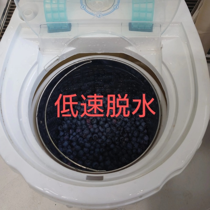 �ڽвٳ��ϡ����̸���ۥ֥롼�٥꡼����餻����Ρ� 500g��2�ޡ�1kg�� ��7��ʹ�ȯ��ͽ���Ĺ� Ȭ���٤�ϼ �ٻθ�Į���� �������ʲ�������1,090�ߡ�