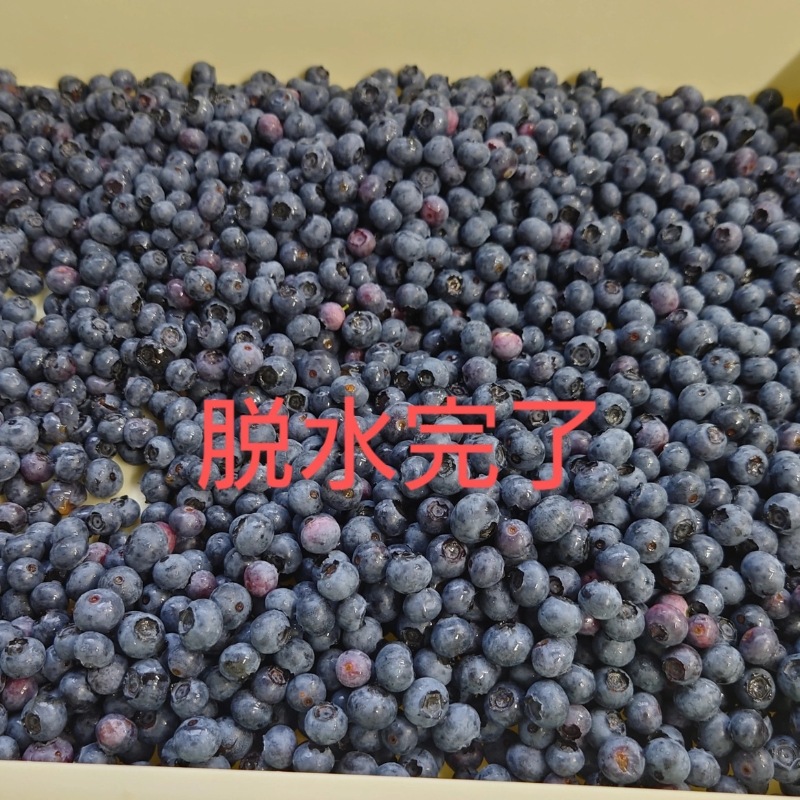 �ڽвٳ��ϡ����̸���ۥ֥롼�٥꡼����餻����Ρ� 500g��2�ޡ�1kg�� ��7��ʹ�ȯ��ͽ���Ĺ� Ȭ���٤�ϼ �ٻθ�Į���� �������ʲ�������1,090�ߡ�