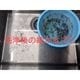 ͽ䡦̸ۥ֥롼٥꡼餻Ρ 500g4ޡ2kgˡ7ܡܰʹ߽缡ȯͽĹ Ȭ٤ϼ ٻθĮ ʲ1590ߡ