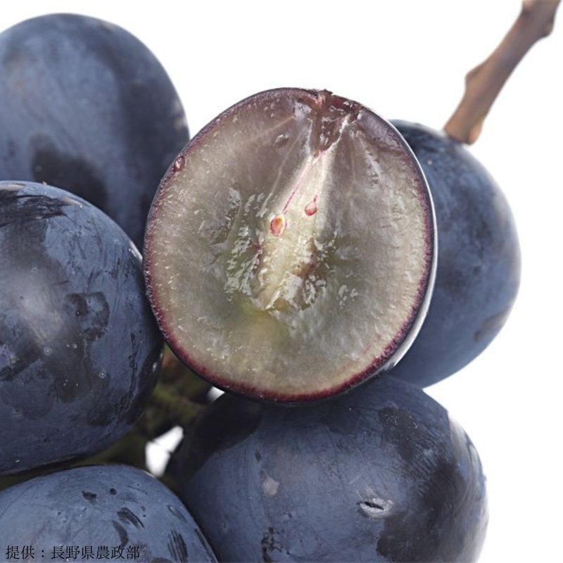 ���вٳ��ϡ�������ľ���ۥʥ��Υѡ��ץ���1kg 2��3˼ �������� �ʲ��츩��Υ���ϰ������Բġˡˡڣ���ܰʹ߽в�ͽ��۷�Ϸ���� �֤ɤ� Ĺ�� ���� ��ʪ �ե롼�� ��ƺ