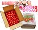 ��300P�Ը���ۡ�ͽ�����䳫�ϡ�Ĺ����������� ��ƣ�� £���� ��L�������ʾ� 1kg �Х�� �������ʲ��������Բġˡ�6����ܡ�����ȯ��ͽ���