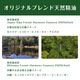 ��300P�Ը���ۡڹ��Ό����� Japan Alps Forest Harmony Essence 2025(5ml) Okinawa Forest Harmony Essence 2025(4ml) ���å� ŷ��100�� ���� ������ ������(��������870��)