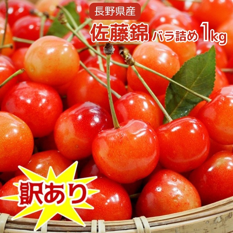 ��300P�Ը���ۡ�ͽ�����䳫�ϡ�Ĺ��� ��ƣ�� �������� ������ 1kg �Х�� ������ �����ʥե��ߥ꡼������ �������ʲ��������Բġˡ�6����ܡ�����ȯ��ͽ���