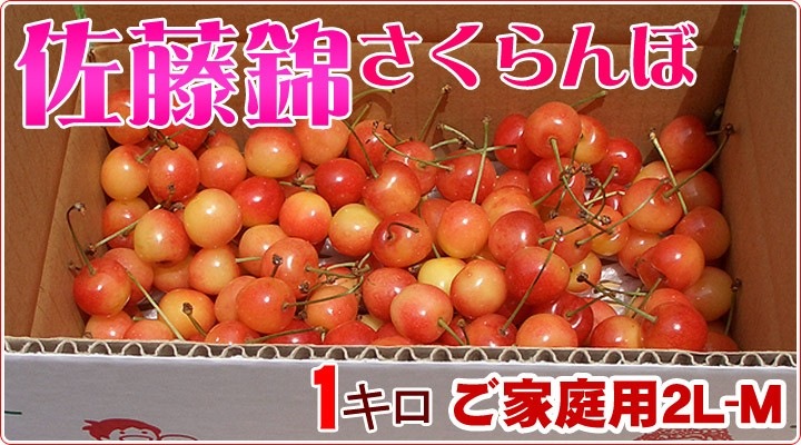 ��300P�Ը���ۡ�ͽ�����䳫�ϡ�Ĺ��� ��ƣ�� �������� ������ 1kg �Х�� ������ �����ʥե��ߥ꡼������ �������ʲ��������Բġˡ�6����ܡ�����ȯ��ͽ���