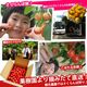 ��300P�Ը���ۡ�ͽ�����䳫�ϡ�Ĺ��� ��ƣ�� �������� ������ 1kg �Х�� ������ �����ʥե��ߥ꡼������ �������ʲ��������Բġˡ�6����ܡ�����ȯ��ͽ���