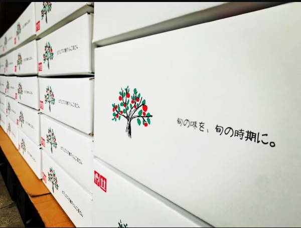 ��ͽ����������桧11���ȯ��ͽ��ۡ�����ľ���ۤ�� ����դ� ������5kg(12��20��) �������� Ĺ� ���� ��� ̪ (��������2,390��)