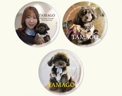 �亴���顦�̥Хå�3�ĥ��å�(TAMAGO)