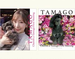 �亴���顦���ƥå���set(TAMAGO)