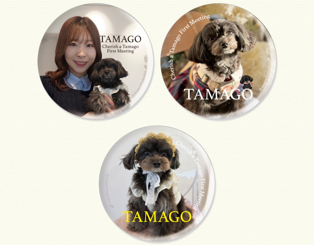 �亴���顦�̥Хå�3�ĥ��å�(TAMAGO)