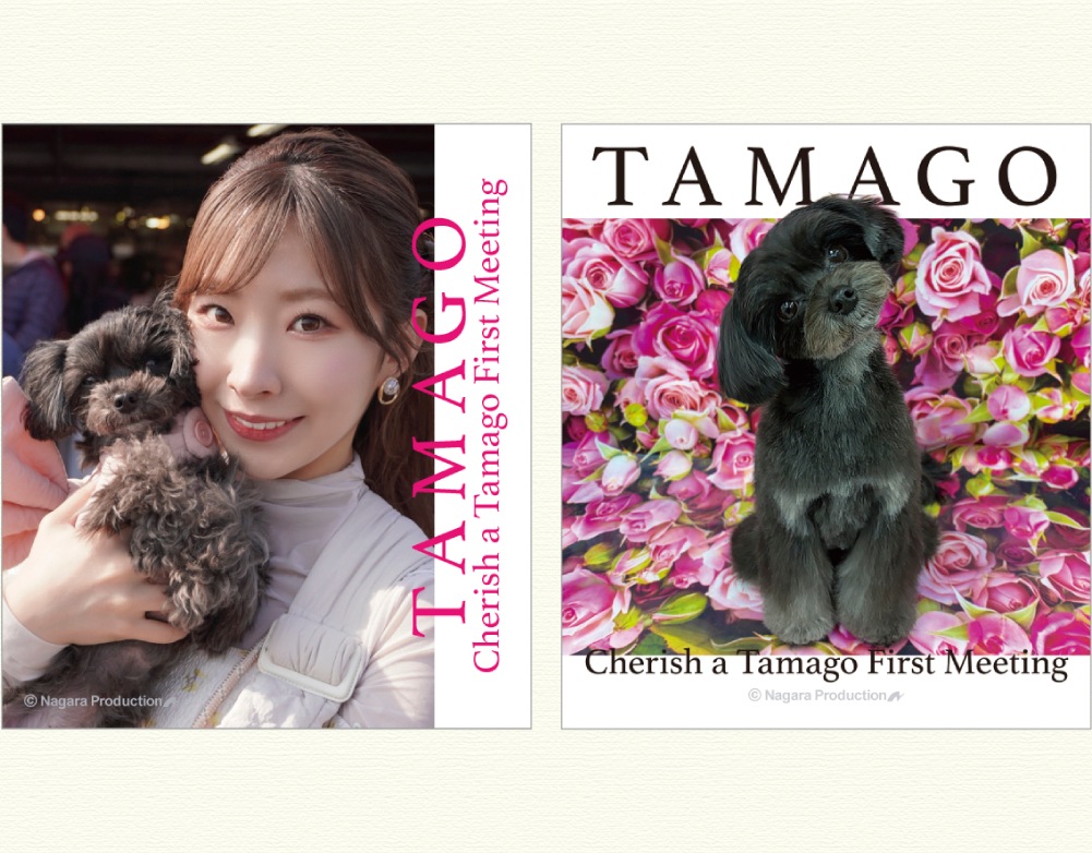 �亴���顦���ƥå���set(TAMAGO)