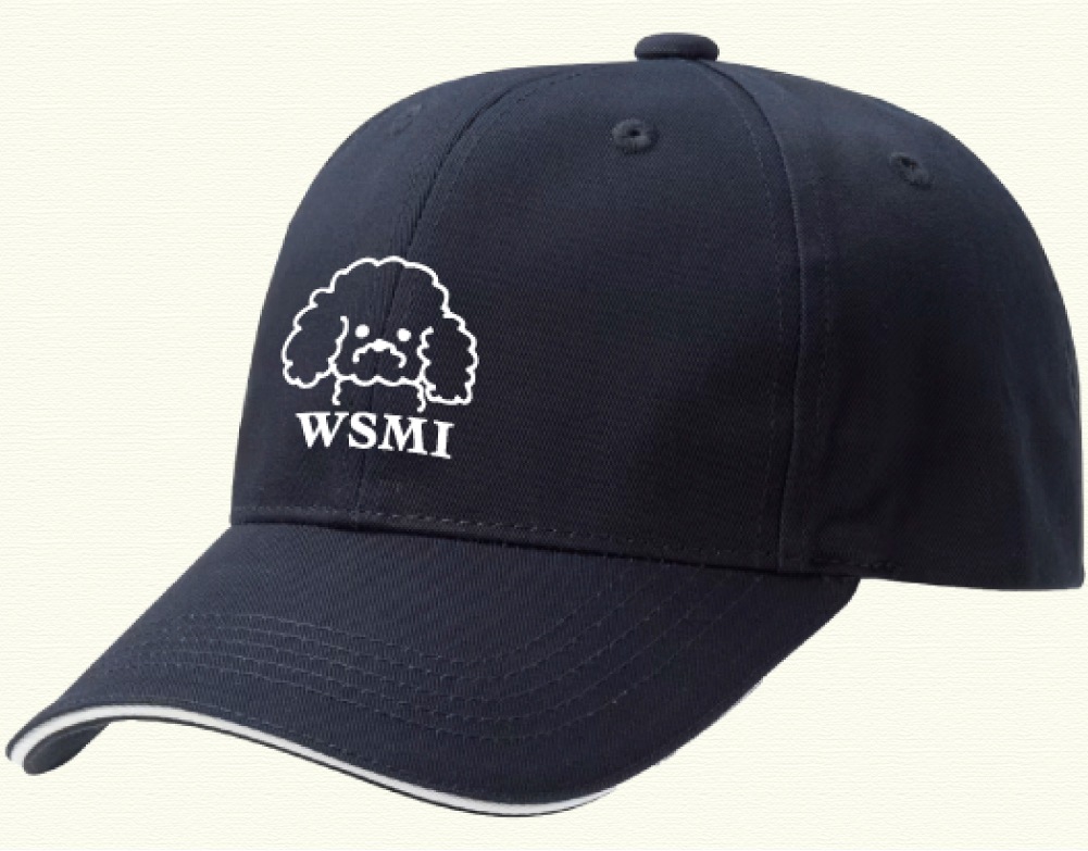 �亴���顦����å�(WAMI)