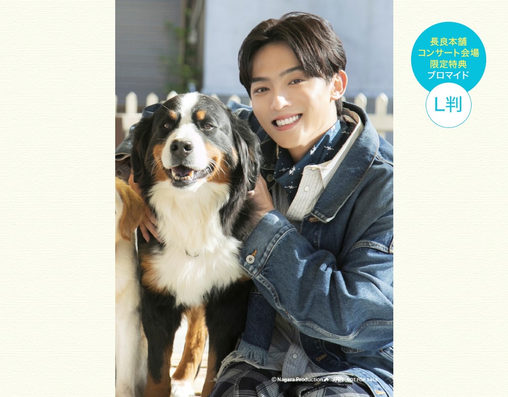 ä̦�椦�ȡ�������ɼ̿���YUTO-LIFE���̾��ǡ�