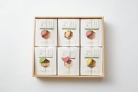 【美濃菓蔵6種入り:34枚】スライスフルーツを載せたはさみ焼きせんべい、フルーツゴーフレット、詰め合わせ