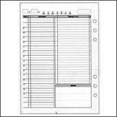 ASHFORDA5ƥĢѥե ǥ꡼꡼դʤ