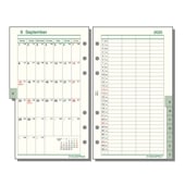 �쥤�ᥤ ����������� 2025ǯ ��������ե��� ����ʥХ��֥�� ���-9