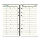 �쥤�ᥤ Date Your Dream ��������ե��� ����ʥХ��֥�˥��������꡼�������塼�� �ʽ��֡�