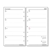 �쥤�ᥤ ������� 2025ǯ ��������ե��� ����ʥХ��֥�� ����-1