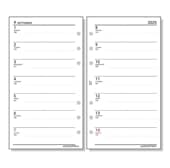 �쥤�ᥤ ������� 2025ǯ ��������ե��� ����ʥХ��֥�� ����-3