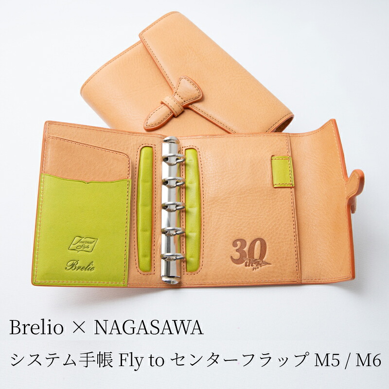 Brelio��NAGASAWA �����ƥ��Ģ Fly to ���󥿡��ե�å� M5 / �ߥ�6
