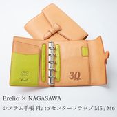 Brelio��NAGASAWA �����ƥ��Ģ Fly to ���󥿡��ե�å� M5 / �ߥ�6
