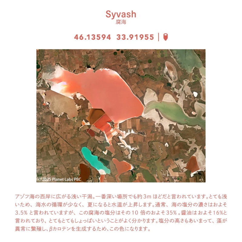 �����顼��ǯɮ ������ǯɮ ����� ��ǯɮ ���롼������ / �峤 14�� 10-1291 / 10-1293