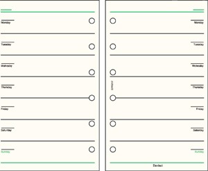 Davinci �����ƥ��Ģ��ե��롡�ߥ�6�ꥵ���� �ե꡼���������꡼�������塼��C�ʥ��������/���ӥ��/��ե���/��ե�����/�������塼��Ģ/��Ģ/������