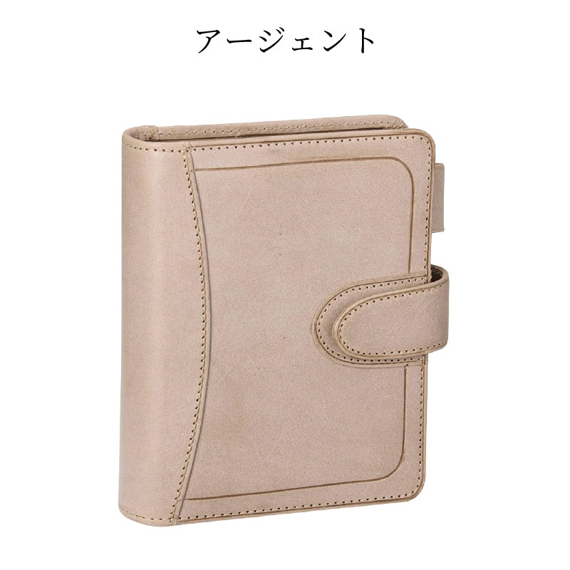 ��������� �����ƥ��Ģ �����ޥۥå� �ߥ�6(�ݥ��å�) 20mm �����������/��������/������� DP1413 davinci Roroma Hook ���ӥ��