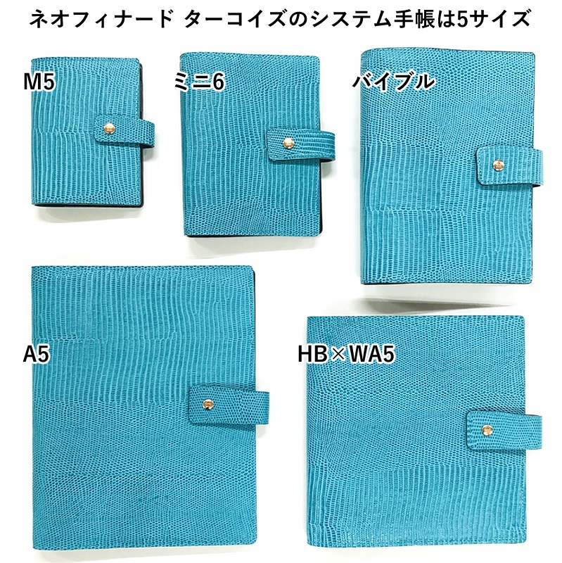 AshfordNAGASAWA ꥸʥ륷ƥĢ ͥեʡ  M5/M6/Х֥/A5/HBWA5 եɡߥʥ