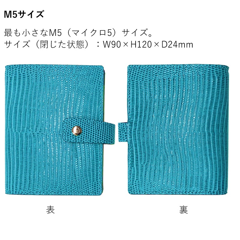 AshfordNAGASAWA ꥸʥ륷ƥĢ ͥեʡ  M5/M6/Х֥/A5/HBWA5 եɡߥʥ