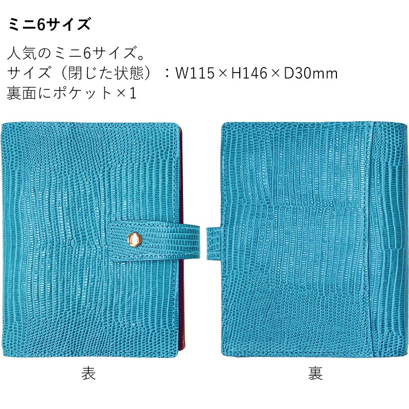 AshfordNAGASAWA ꥸʥ륷ƥĢ ͥեʡ  M5/M6/Х֥/A5/HBWA5 եɡߥʥ